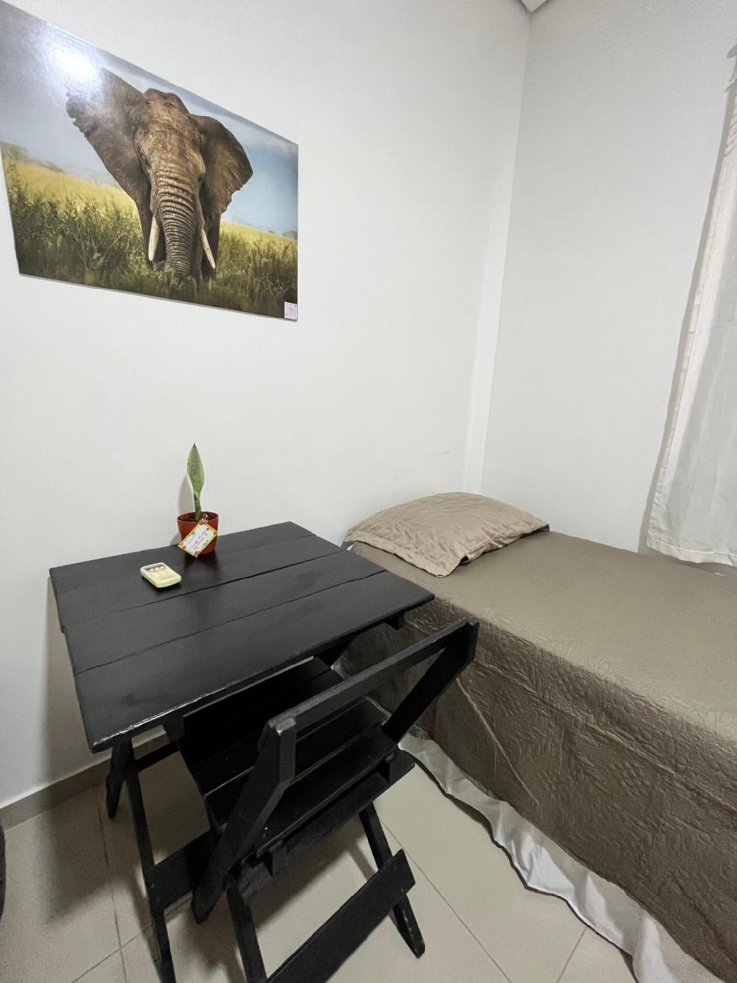 Hostel Ecohostel 博阿维斯塔 外观 照片