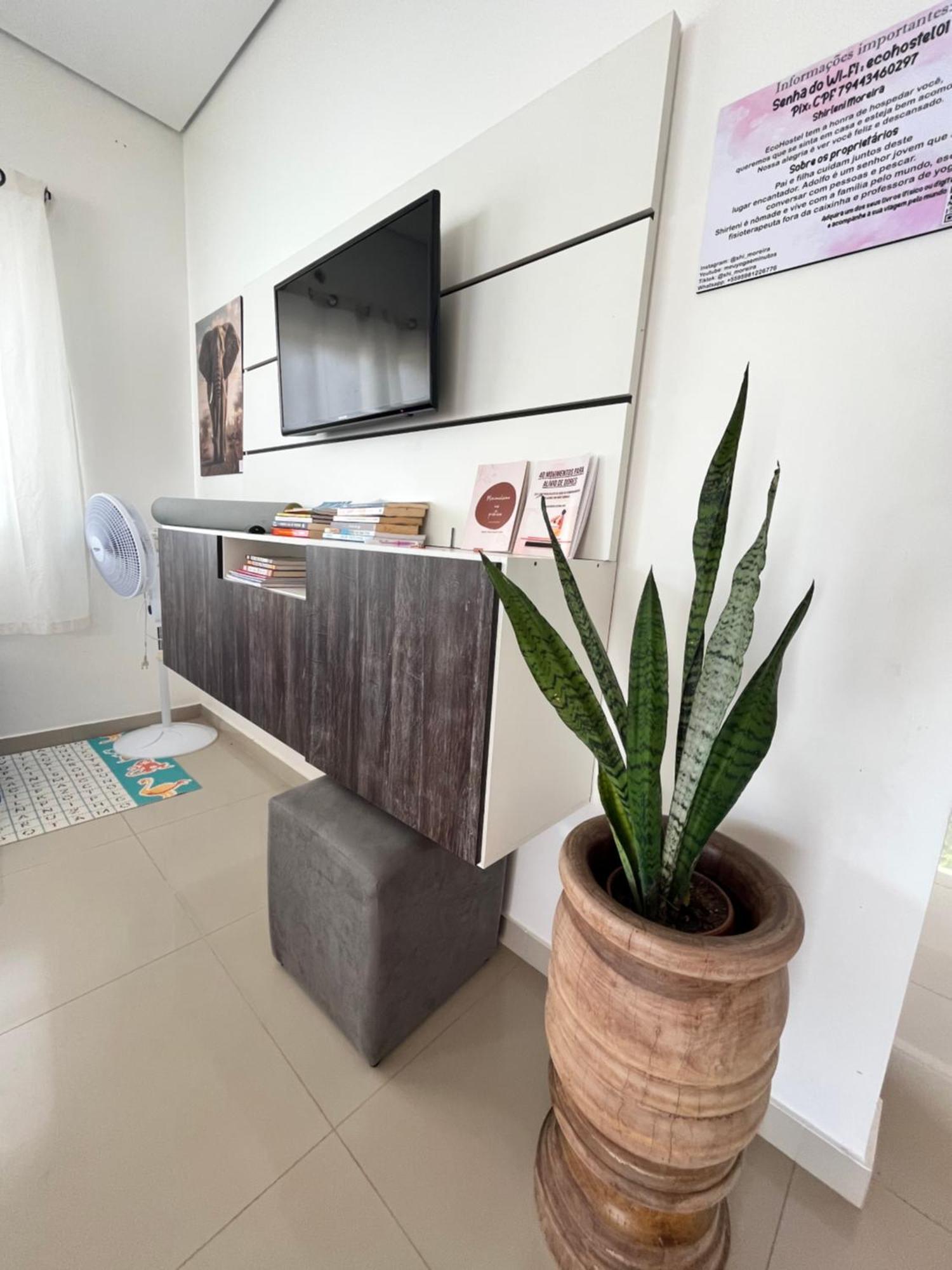 Hostel Ecohostel 博阿维斯塔 外观 照片